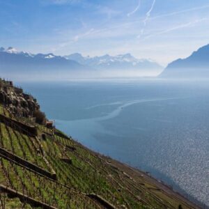 Rhone